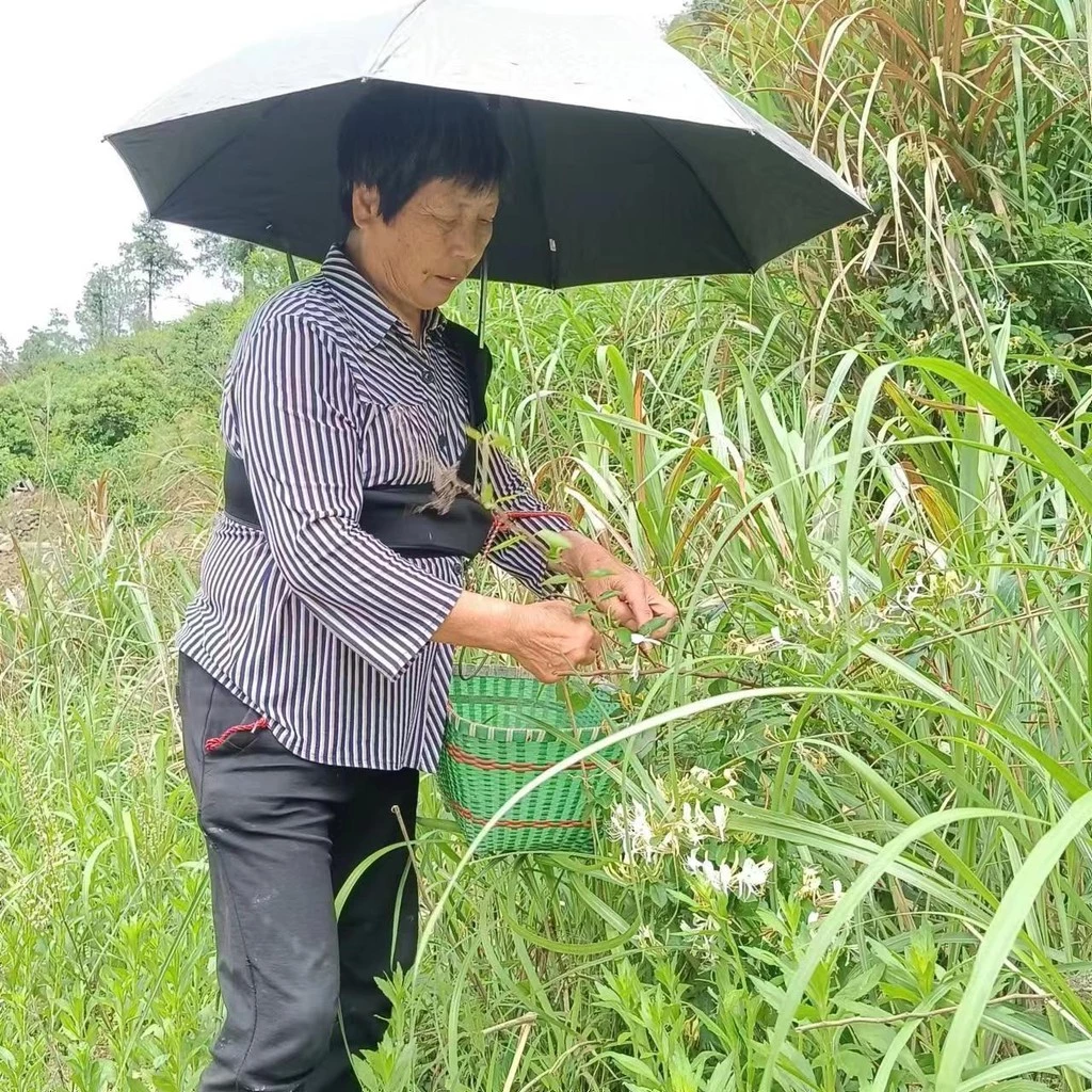 ใหม่แบบพกพาหนาพิเศษสิ่งประดิษฐ์ร่มกลางแจ้งร่มร่มร่มร่มร่มร่มร่ม - รูปที่ 1