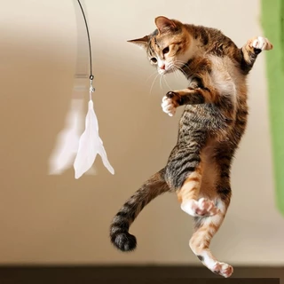 Interactive ของเล่นแมว Handfree Cat Stick เล่นลูกแมวเล่น Teaser Wand ของดูดถ้วย Bird/Feather Cat Wand อุปกรณ์สัตว์เลี้ยง