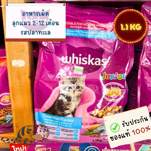 WHISKAS JUNIOR 2-12 MONTHS OCEAN FISH FLAVOUR 1.1KG