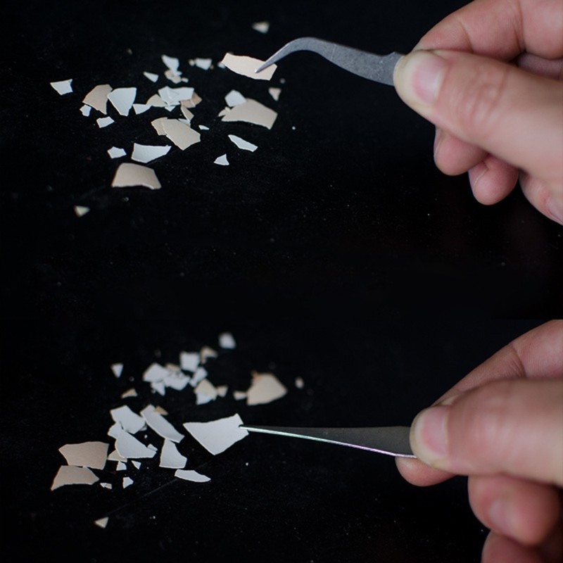 Weroyal ชุดแหนบสแตนเลสมืออาชีพ 6 ชิ้นเหมาะสําหรับงานละเอียดในห้องปฏิบัติการและซ่อมแซม - รูปที่ 2