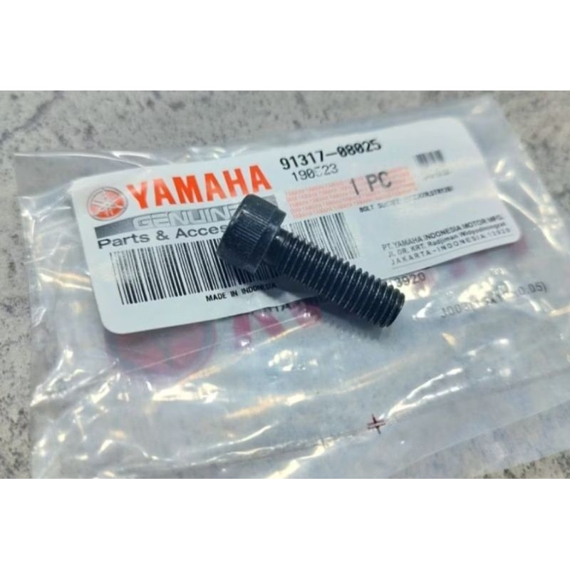 Y15ZR V1 BOLT - 91317-06025