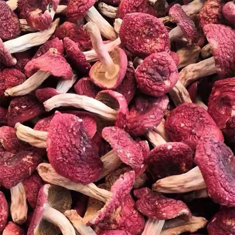 สินค้าใหม่ Wuyi Mountain Red Mushroom สินค้าแห้ง Wild Authentic First Class Confinement เห็ดสีแดง เห็ดหอม เห็ดใหญ่ Bud 5.16 sw