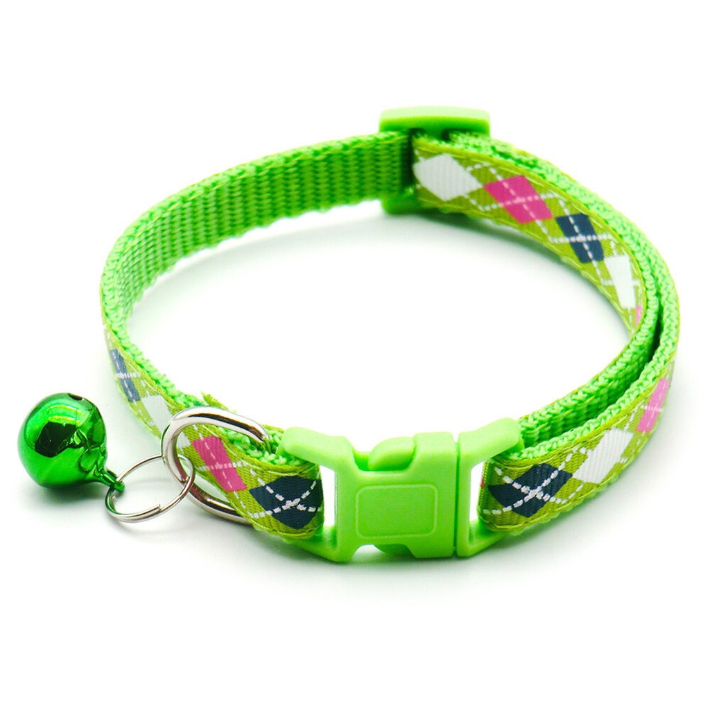 Pet Pet Pet Accessories Pet Products Food Toy Health LI0354 Shop calibri 11 th