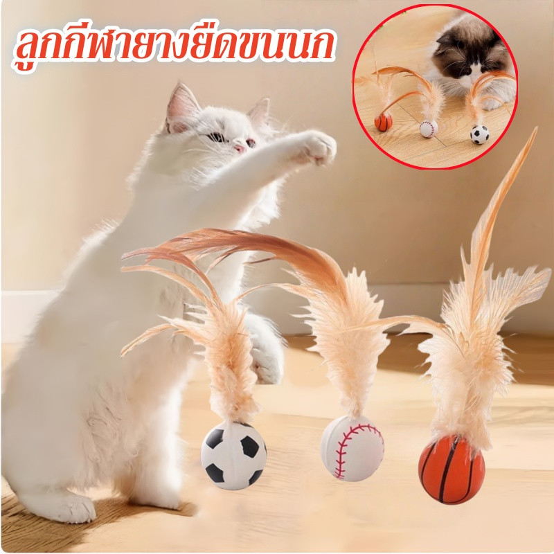 ของเล่นแมว ลูกกีฬายางยืดขนนก ขนไก่ยืด แมวคลายความเบื่อหน่าย สําหรับสัตว์เลี้ยง แมว