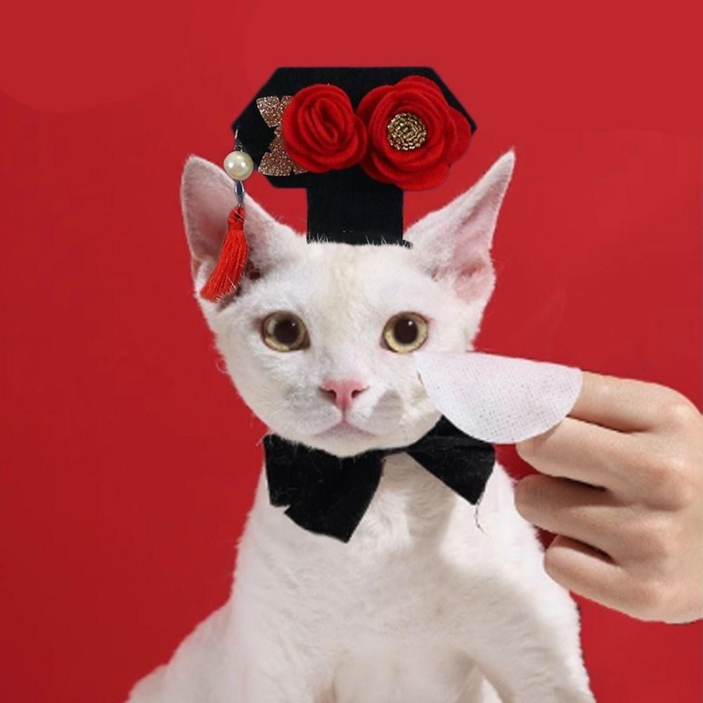 Wellnessspot ที่คาดผมปีใหม่สัตว์เลี้ยง, ผ้าโพกศีรษะแมวแบบดั้งเดิมสไตล์จีน, น่ารัก Hanfu Vintage Court Princess Dog Hanfu ที่คาดผมสุนัข/แมว - รูปที่ 5