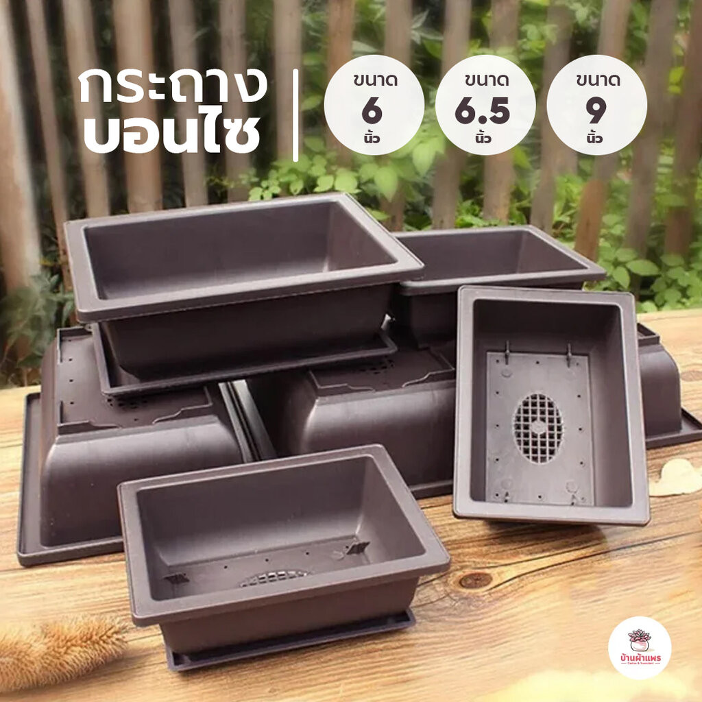 กระถางบอนไซ #1512 - #1514 กระถางพลาสติก ทรงเตี้ย กระบองเพชร ไม้อวบน้ำ Cactus&Succulent