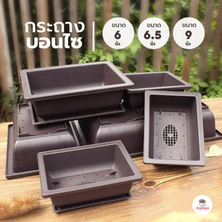 กระถางบอนไซ #1512 - #1514 กระถางพลาสติก ทรงเตี้ย กระบองเพชร …