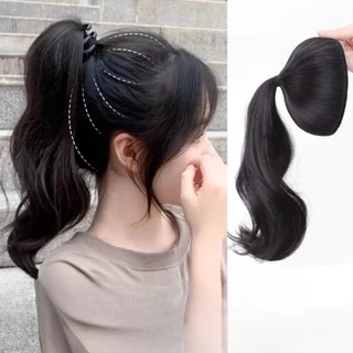 (จัดส่งจากท้องถิ่น) แผ่นต่อผมเพิ่มความหนา ยกระดับทรงผม มัดผมสูง ถักเปียปลอม ด้านหลังศีรษะเต็ม