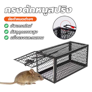 กรงดักหนูแบบมีโครง กรงดักหนูนา กรงดักหนูเล็ก พับเก็บได้ ไม่เปลืองพื้นที่ mouse traps ใช้ซ้ำได้