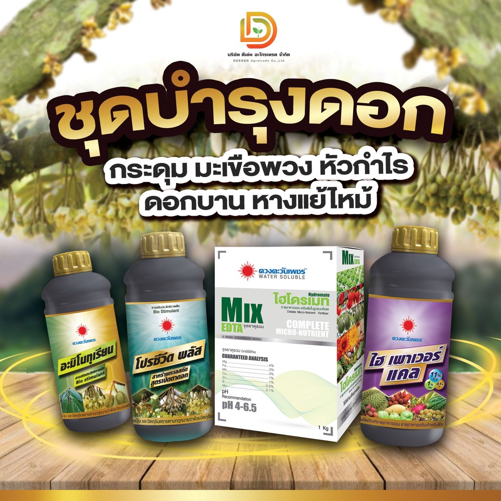 #ชุดบำรุงดอก #ดวงตะวันเพชร ระยะกระดุม มะเขือพวง หัวกำไร หางแย้ไหม้ (อะมิโนทุเรียน+โปรซีวีดพลัส+ไฮพาวเวอร์เเคล+MIX-EDTA )