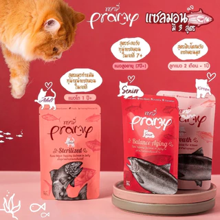 [12 ซอง] Pramy พรามี่อาหารเปียกแมวสุขภาพดี สำหรับแมวทุกช่วงวัย ขนาด 70g