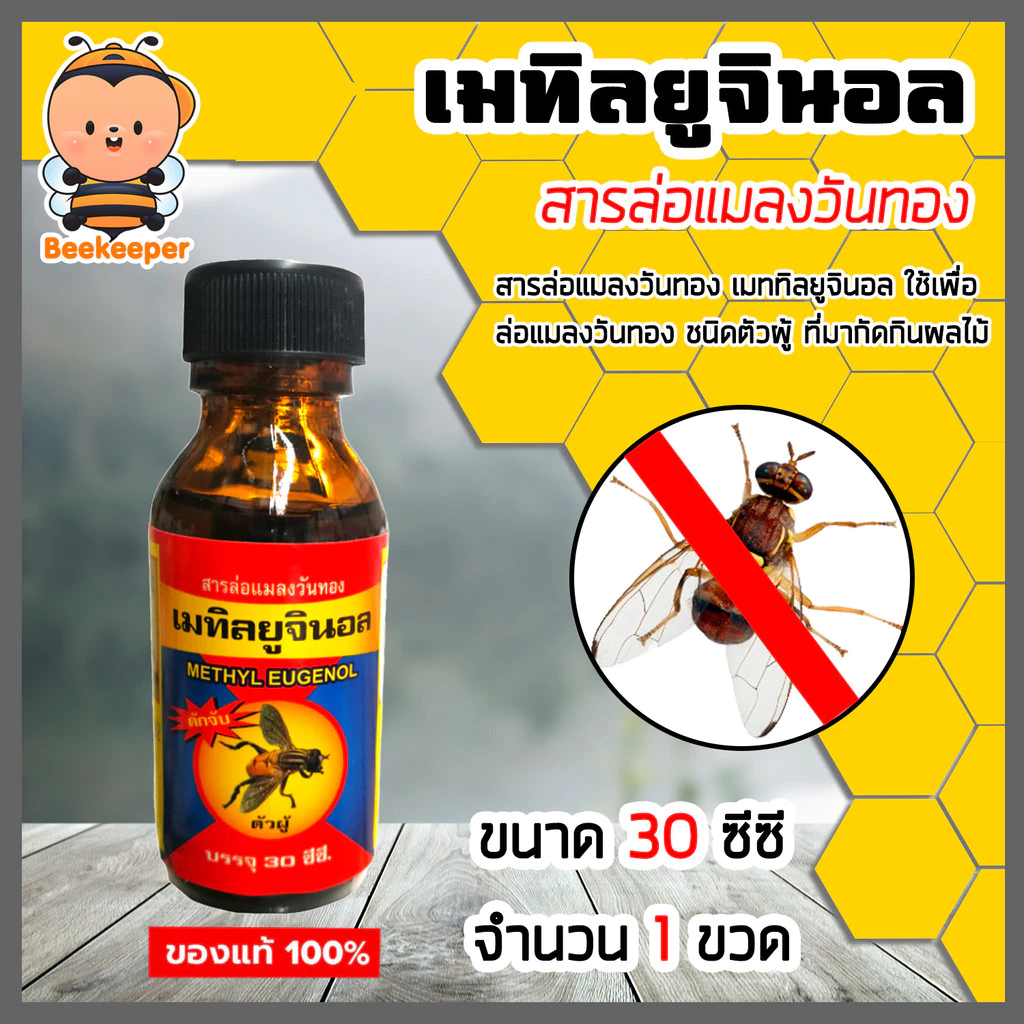 สเปร์ยล่อแมลงวันทอง/สารล่อแมลงวันทอง/อุปกรณ์ดักแมลงวันทอง กับดักแมลงวันทอง น้ำยาดักแมลงวันทอง น้ำยาล่อแมลงวัน หัวเชื้อ