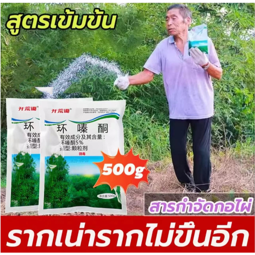 ยาฆ่าไผ่ ยาฆ่าหญ้ 500g ไม่ทำลายดิน รวดเร็ว ทนนาน ผงกำจัดต้นไม้ ผงกำจัดกอไผ่ ยาฆ่าตอไม้ ยาฆ่าไม้ไผ่ ยาฆ่าตอต้นไม้