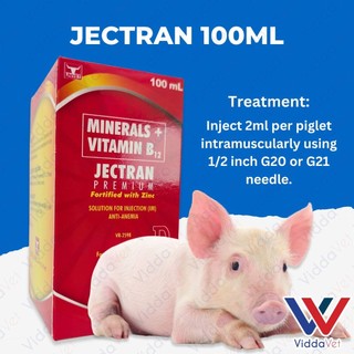Jectran 100ml Animal Health Booster Viddavet Vitamins Suporta sa Kalusugan ng Alaga Iron