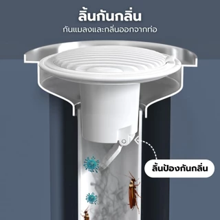ตะแกรงกันกลิ่น กันกลิ่นท่อระบายน้ำ ป้องกันเศษผม หรือวัตถุแปลกปลอมไหลเข้าสู่ท่อระบายน้ำ ฝักบัว ที่กรองท่อระบายน้ําห้องครั