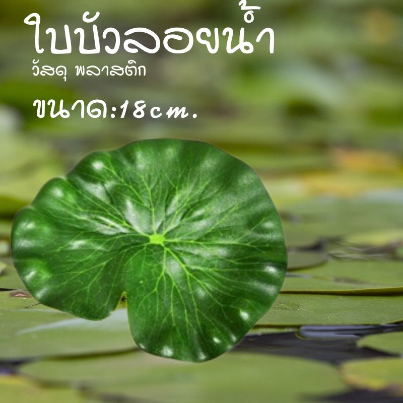 ดอกบัวลอยน้ำ 28 ซม เสริมฮวงจุ้ย  ตกแต่งรูป สวน สระ บ่อน้ำ - รูปที่ 5