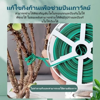 Featured สายรัดสวน, เชือกอเนกประสงค์, เชือกปีนต้นไม้, เชือกต้นไม้, เชือกรูดพลาสติก จะไม่เป็นอันตรายต่อพืช
