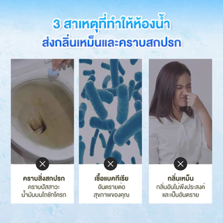 น้ำยาดับกลิ่นชักโครก เจลดับกลิ่นชักโครก ช่วยขจัดคราบ ลดกลิ่นเหม็น กำจัดแบคทีเรียในชักโครก ปล่อยอัตโนมัติ ฆ่าเชื้อ 99%
