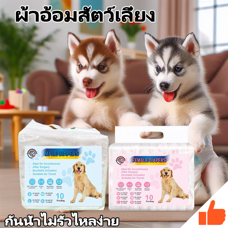 ผ้าอ้อมสุนัขชายหญิงชายหญิงสุนัขทุ่มเทผ้าอ้อมผ้าอ้อมผ้าอ้อมป้องกันสุ่มปัสสาวะ
