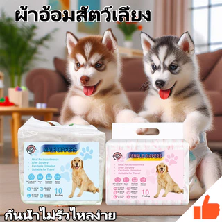 ผ้าอ้อมสุนัขชายหญิงชายหญิงสุนัขทุ่มเทผ้าอ้อมผ้าอ้อมผ้าอ้อมป้องกันสุ่มปัสสาวะ