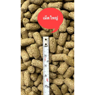 ส่งไว INCH GOLD อาหารเต่าบก 2.5 กิโลกรัม ผลิตปีนี้