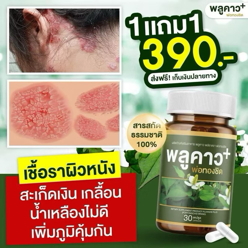 พลูคาว พลัส พ่อทองชิด สมุนไพรแท้100% ดูแลโรคผิวหนัง เสริมภูมิคุ้มกัน 30 แคปซูล