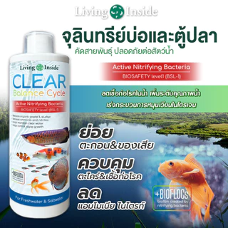 จุลินทรีย์ แบคทีเรีย บ่อปลา ตู้ปลา น้ำใส ลดตะไคร่ ย่อยของเสีย ลดกลิ่น Living Inside