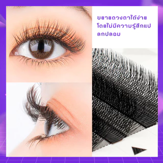 [ศิลปินขนตา ] ขนตาปลอม 5D รูปตัว W 5D ระดับพรีเมียมขนตาปลอม 5DW Lashes 0.05 C D curl ขนตา ที่ร้านเสริมสวย แกนขนตา