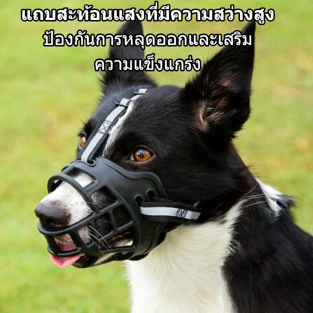 ตะกร้อสุนัข ตะกร้อปากสุนัข ตะกร้อครอบปาก ป้องกันการกัดเห่า ที่ครอบปากสุนัข น้องหมาดื่มน้ำได้ CW65