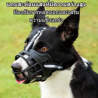 ตะกร้อสุนัข ตะกร้อปากสุนัข ตะกร้อครอบปาก ป้องกันการกัดเห่า ที่ครอบปากสุนัข น้องหมาดื่มน้ำได้ CW65