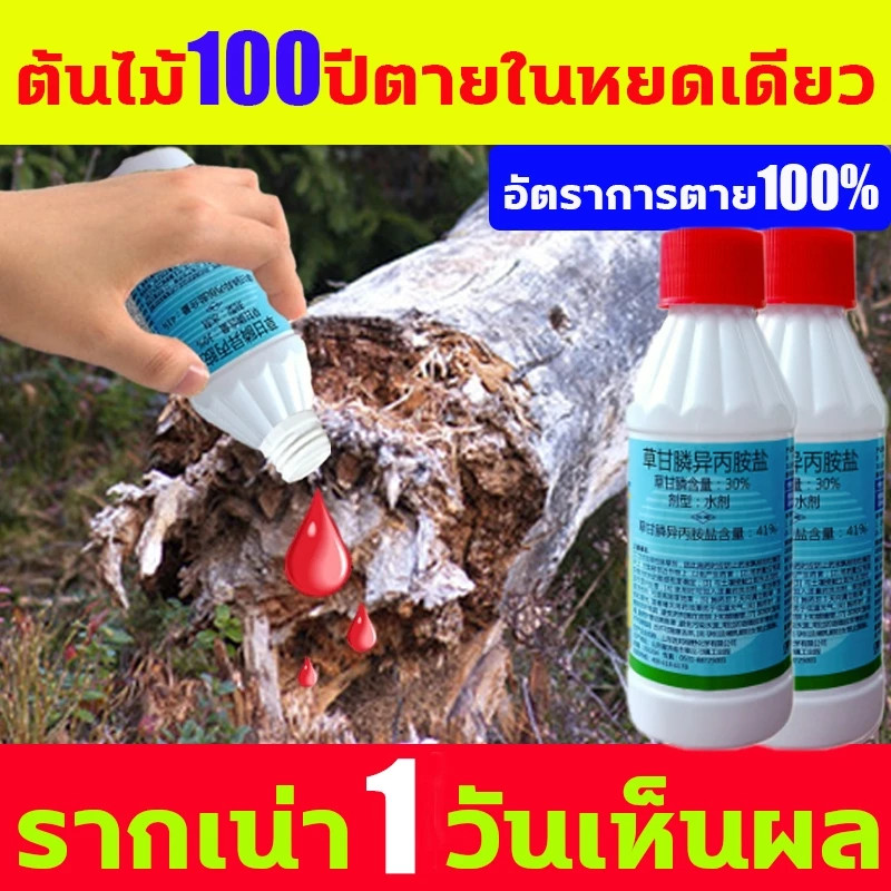 1หยดตายจากราก ยาฆ่าต้นไม้ใหญ่ 200ML เข้มข้นมาก ยาฆ่าตอไม้ รากเน่ารากไม่ขึ้นอีก ยาฆ่ากอไผ่ ยาฆ่าหญ้า ยาฆ่าไผ่ ยาฆ่าต้นไผ่