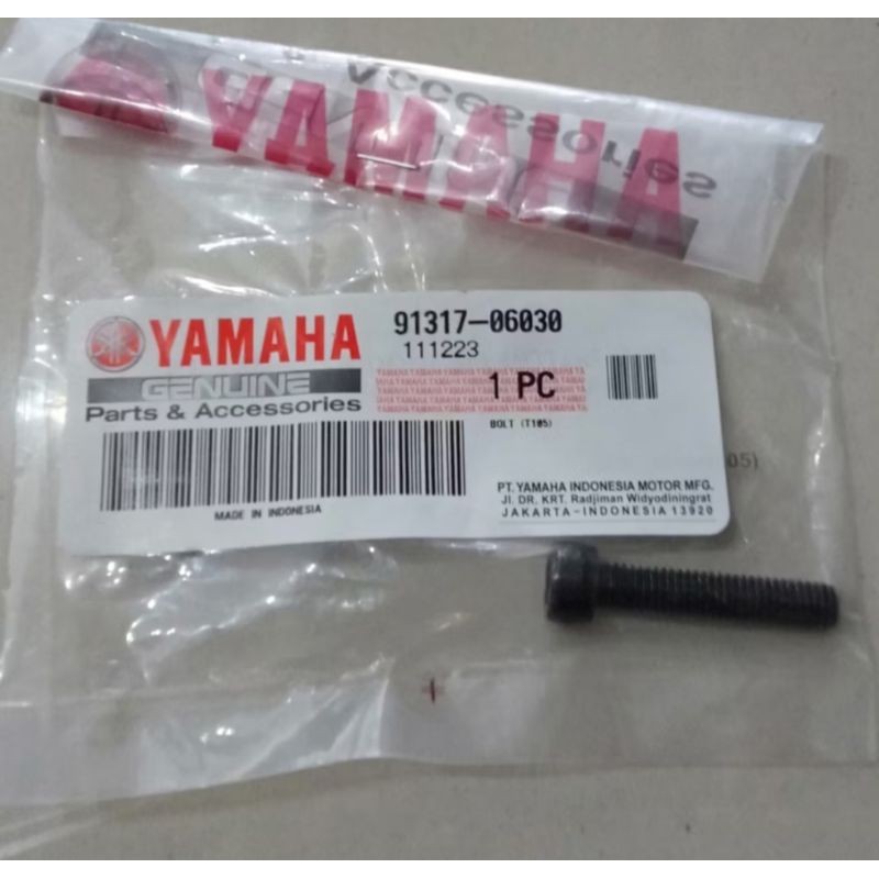Y15ZR V1 BOLT - 91317-06025