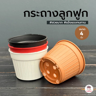 กระถางลูกฟูก 4 นิ้ว กระถางพลาสติก แคคตัส กระบองเพชร ไม้อวบน้…