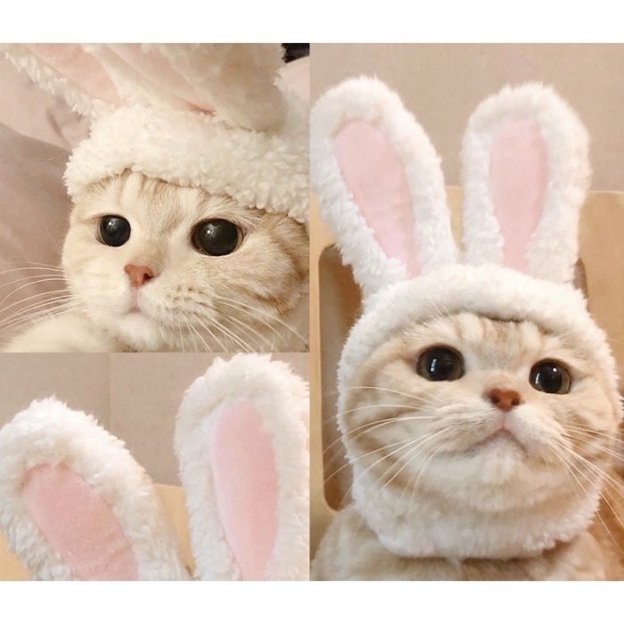 YG BUNNY HAT Costume/CUTE CAT DOG ANIMAL HAT COSTUME พร้อมการออกแบบที่ตรงกัน