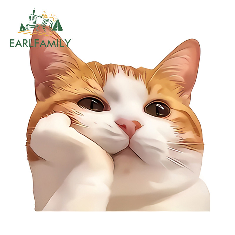 ครอบครัวเอิร์ล 13เซนติเมตรแมวอารมณ์ขันสติกเกอร์รถรถจักรยานยนต์แล็ปท็อปหมวกกันน็อคกันน้ํา ง เอแคลส์ เหมาะสําหรับแบนและเรียบผิวทําความสะ