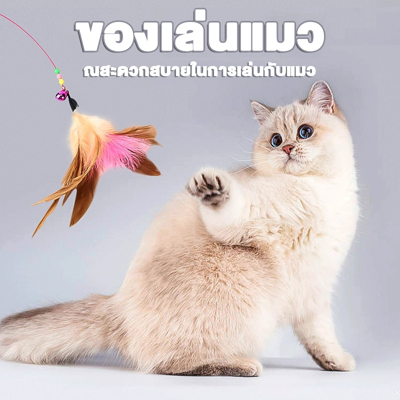 ของเล่นแมว ไม้ตกแมว แมวจะเพลิดเพลิน ดึงดูดความสนใจของสัตว์เลี้ยง ราคาขายส่งที่มีคุณภาพดี