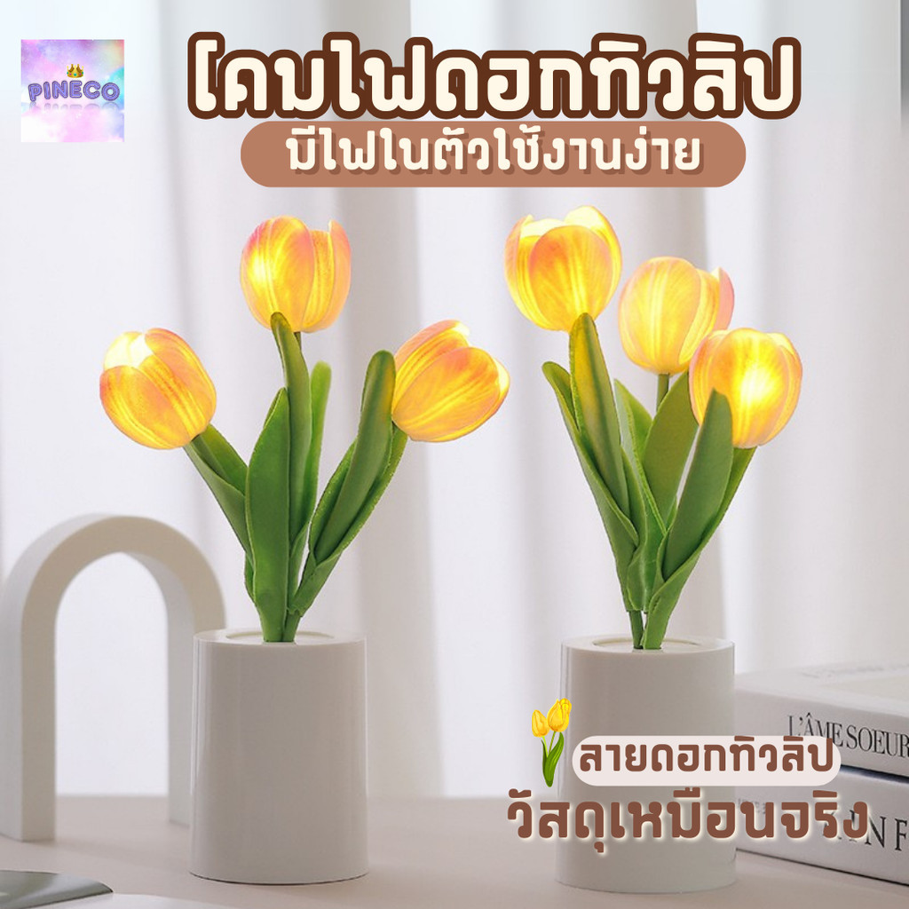 พร้อมส่งในไทย🌷 โคมไฟดอกทิวลิป ไฟแต่งห้อง แบบมินิมอล มีถ่านในตัว ใช้งานได้ 24 ชั่วโมง โคมไฟมินิมอล สำหรับแต่งห้อง