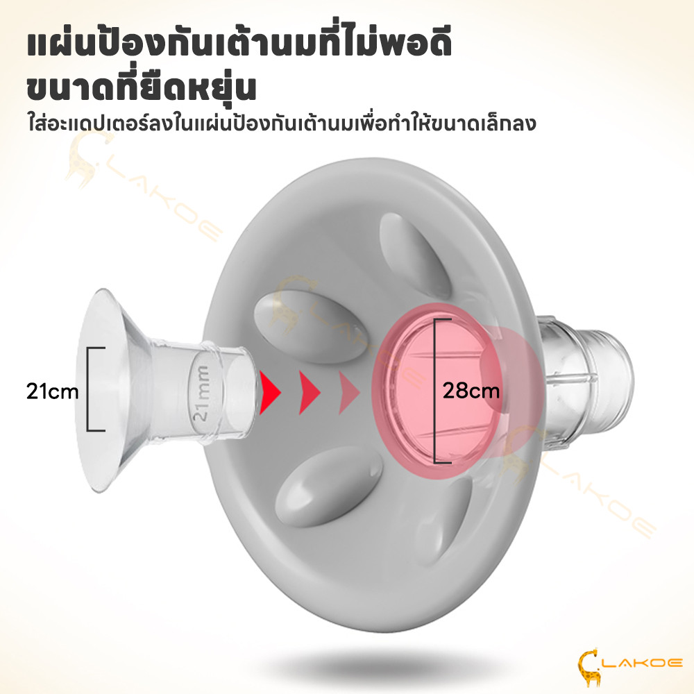 รูปภาพ 7