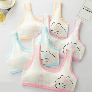 พร้อมส่งชุดชั้นในเด็กหญิง (คละสี3ตัว) ผ้าฝ้าย ฟรีไซส์ ซักไม่…