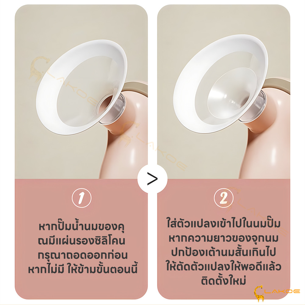 รูปภาพ 6