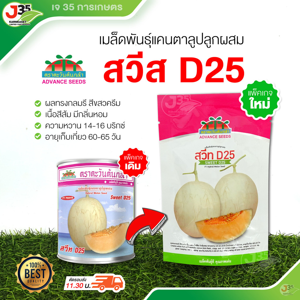 (1กระป๋อง)เมล็ดพันธุ์แคนตาลูป sweet D25 เมล็ดพันธุ์ตราตะวันต้นกล้า แคนตาลูปเนื้อส้ม แคนตาลูปหวาน