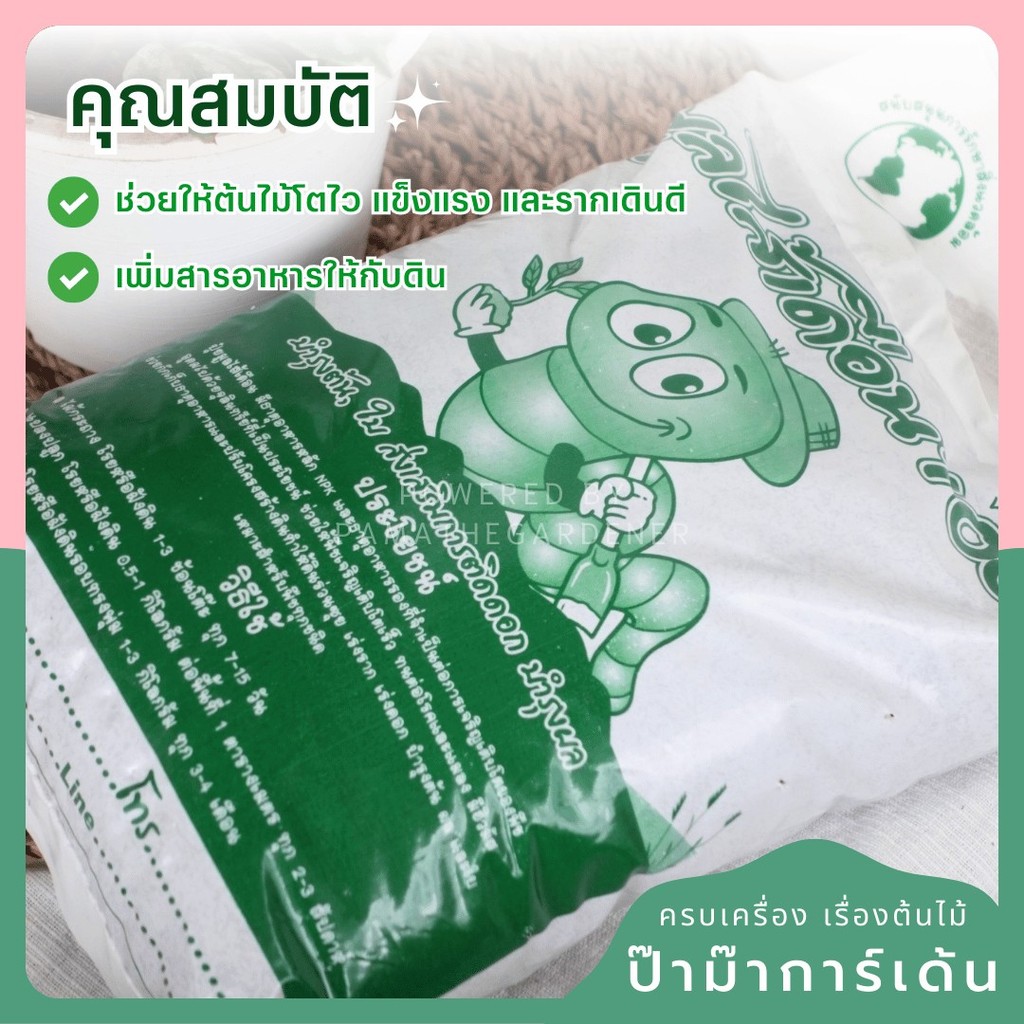 มุมมอง 2