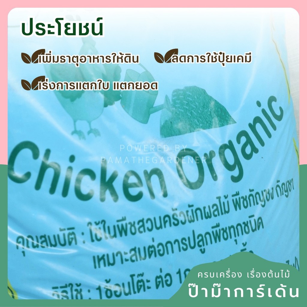 มุมมอง 2