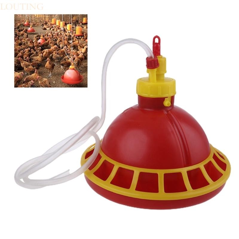Louting Chick Feeder เครื่องป้อนไก่เด็กสําหรับตู้แขวนขยะสัตว์ปีก