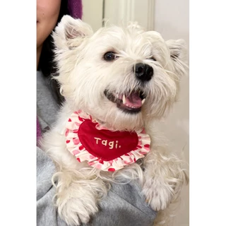 Tagi. Haha Puppy Love Drool Bib