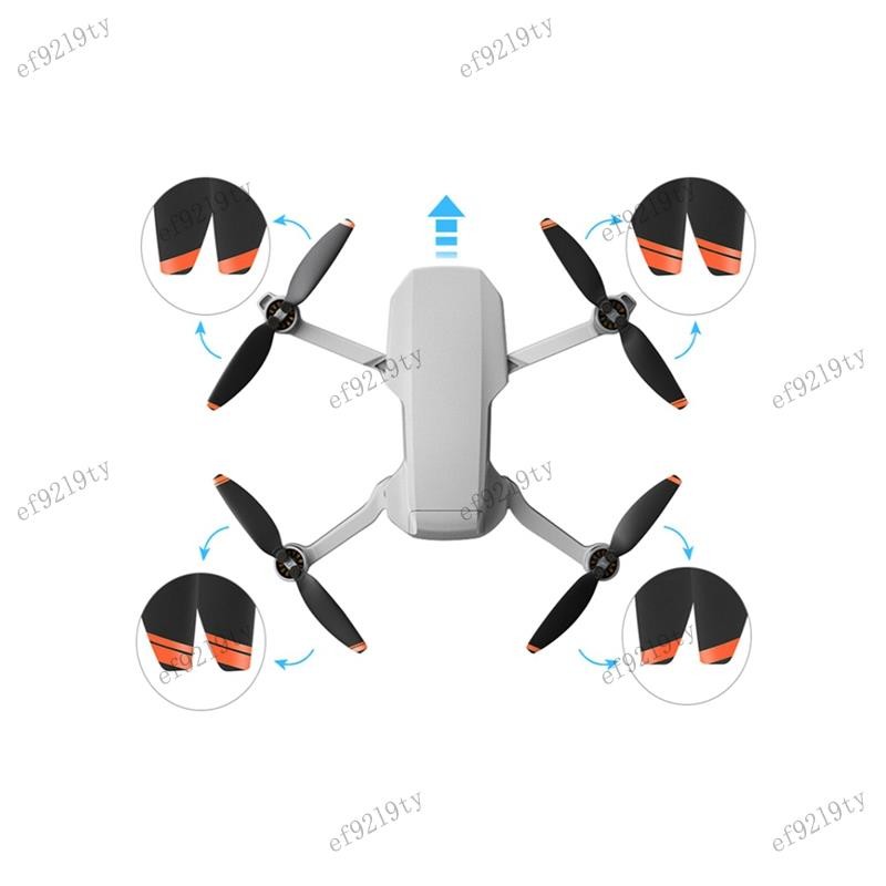 รูปภาพ 7