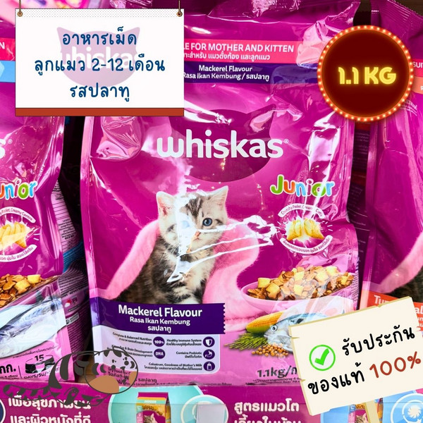 WHISKAS JUNIOR 2-12 MONTHS MACKEREL FLAVOUR 1.1 KG