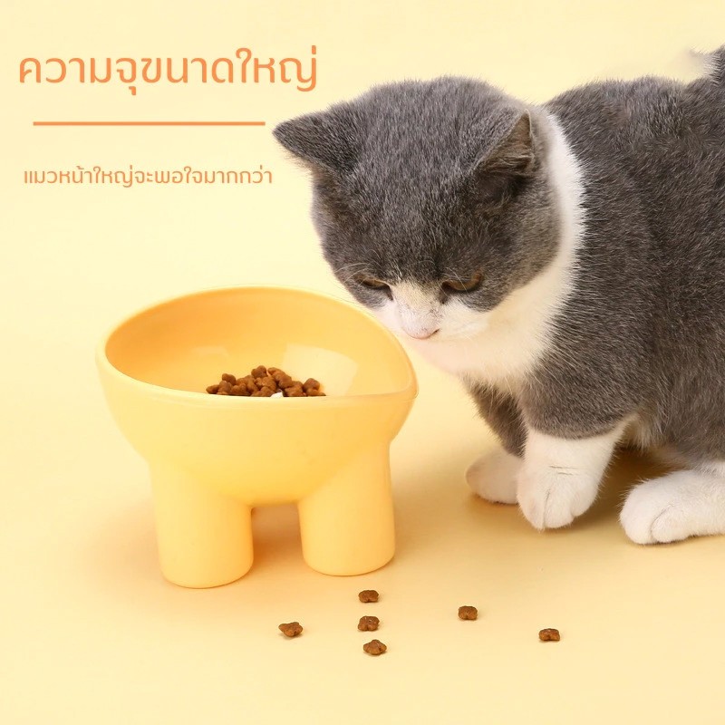 รูปภาพ 3