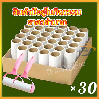 YTL【30 ชิ้นในแพ็คเกจใหญ่】 ลูกกลิ้งกำจัดขน เก็บขนและฝุ่น ลูกก…