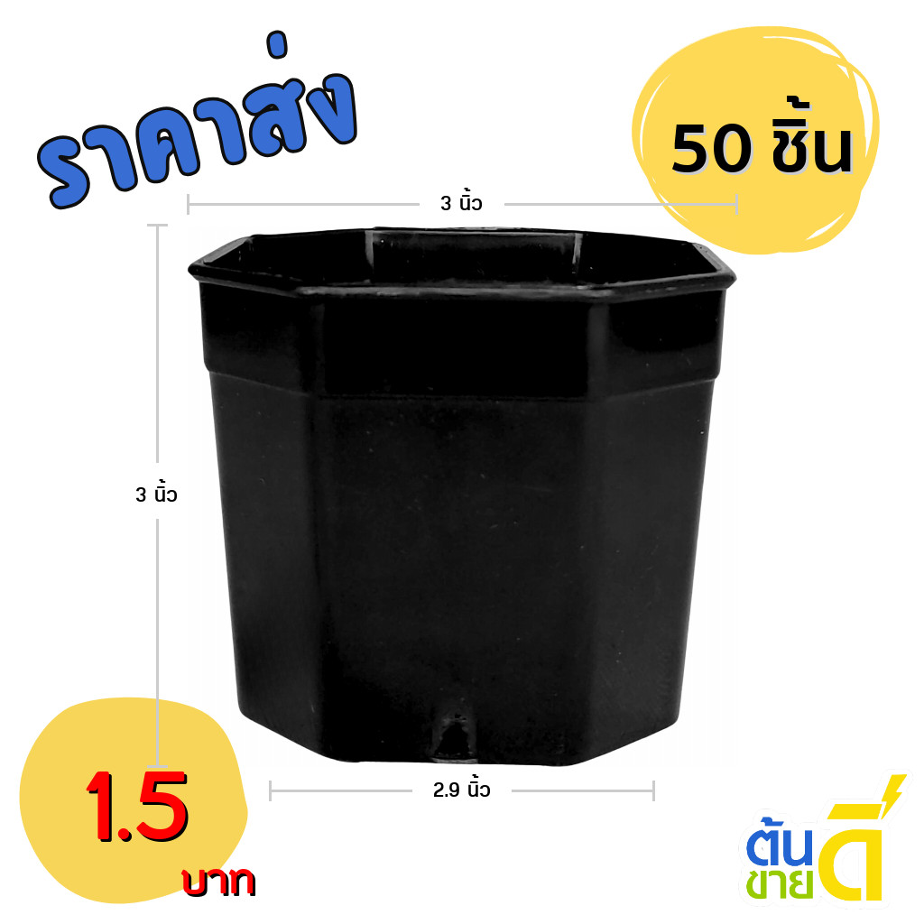 กระถางต้นไม้ กระถาง 8 เหลี่ยม กระถางแคคตัส 3 นิ้ว สีดำ 50 ใบ ชิ้น อัน